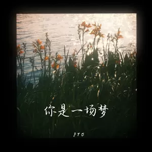 你是一场梦