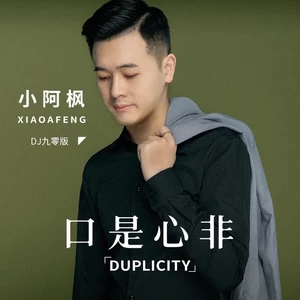 口是心非(DJ九零版伴奏)