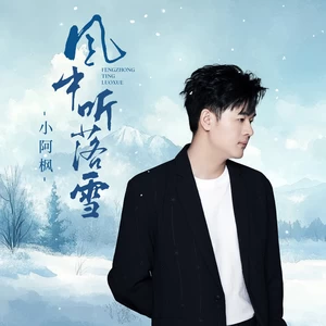 风中听落雪(伴奏)
