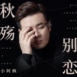 秋殇别恋(DJ九零版)