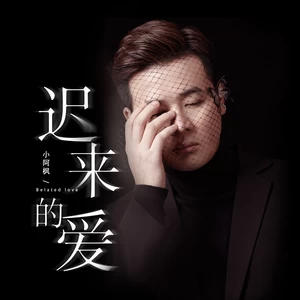 迟来的爱(和声伴奏)