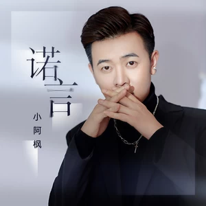 诺言(DJ九零版)