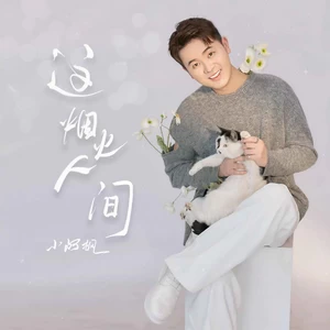 这烟火人间(DJ亚明版)