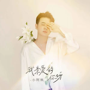 我亲爱的你呀(DJ阿卓版)