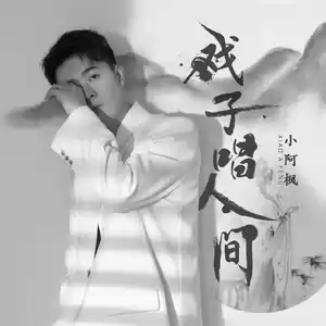 戏子唱人间(DJ版)