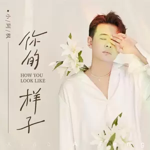 你的样子(伴奏)