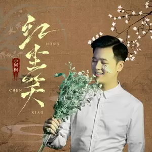 红尘笑(DJ名龙版 伴奏)