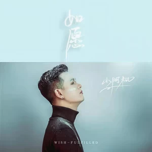 如愿(DJ阿卓版伴奏)