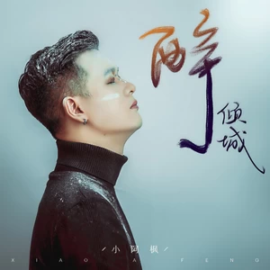 醉倾城(DJ名龙版和声伴奏)