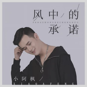 风中的承诺(DJ沈念版)