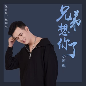 兄弟想你了(正式版伴奏)