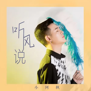 听风说(DJ沈念版伴奏)