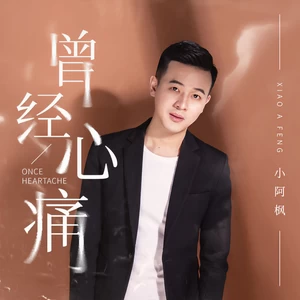 曾经心痛(DJ光音坊版伴奏)