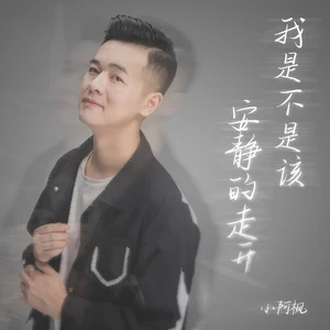 我是不是该安静的走开(伴奏)