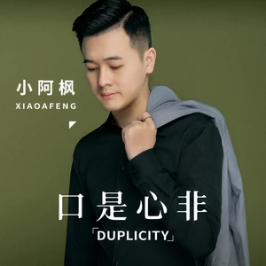 口是心非(DJ辉总版伴奏)