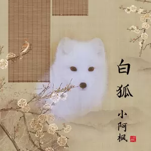 白狐(DJ光音坊版伴奏)