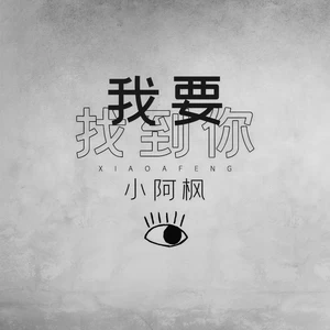 我要找到你(DJ版)