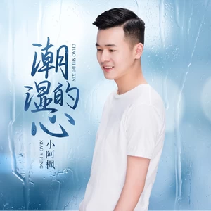 潮湿的心(DJ版)