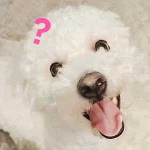 你在搞笑吗(伴奏)