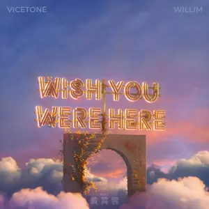 平行线 (Wish You Were Here)
