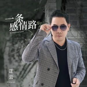 一条感情路