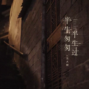 半生匆匆半生过