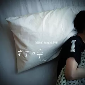 打呼-潘玮柏/杨丞琳
