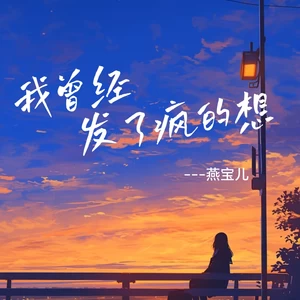 我曾经发了疯的想