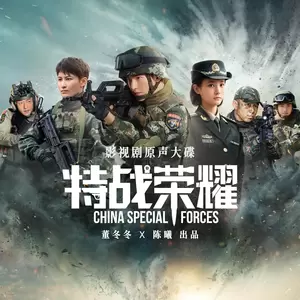 光辉岁月