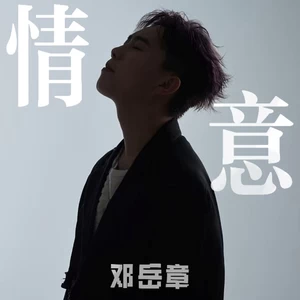 情意