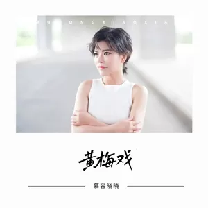 黄梅戏(DJ越鑫版)