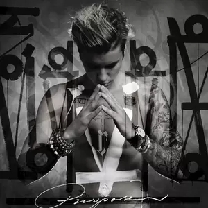 What Do You Mean? (Remix) [Bonus Track]