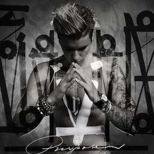 What Do You Mean?(Remix)