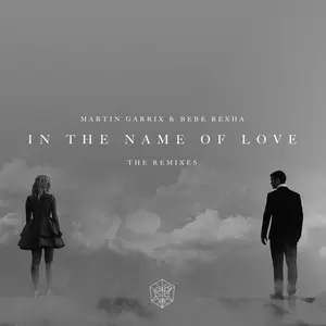 In The Name Of Love(The Him Remix)