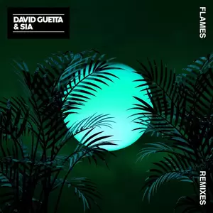 Flames(Leandro Da Silva Remix)