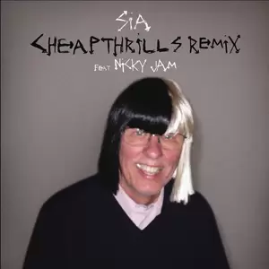 Cheap Thrills(Remix)