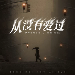 从没有爱过
