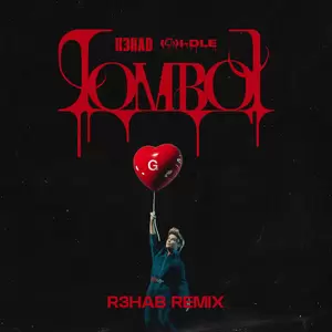 TOMBOY(R3HAB Remix)