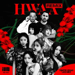 HWAA(Dimitri Vegas & Like Mike Remix)