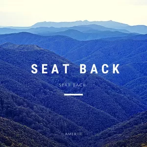 SEAT BACK