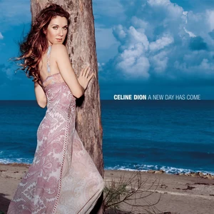 A New Day Has Come(Radio Remix)