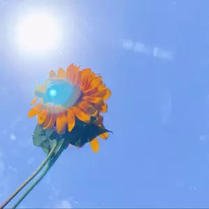 爱我的人呐