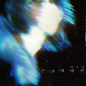 庞加莱重现