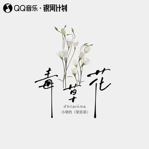 毒草花DJ版