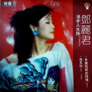 遇见旧情人(黑胶版)