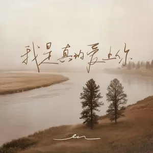 我是真的爱上你(伴奏)