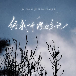 给我一个理由忘记 (那么爱我的你)