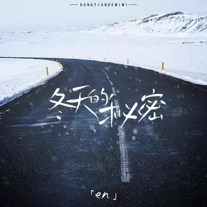 冬天的秘密(DJ凤凰版)