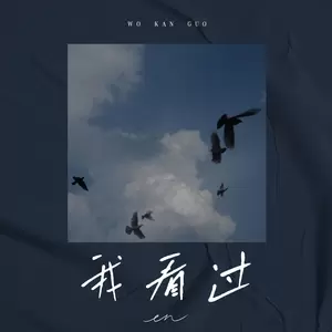 我看过(伴奏)