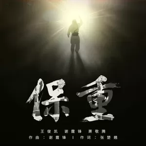 保重(纯音乐)